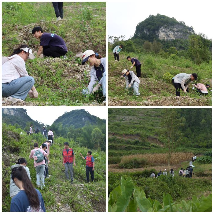 【暑期实践】医脉乡传 九秩筑梦——我院师生赴马山县里当瑶族乡龙琴村暑期“三下乡”社会实践活动 第 2 张