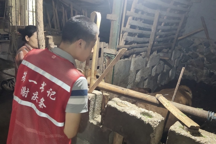 接力奋进新征程 医者初心践于行——我院口腔颌面外科党支部谢庆条赴马山县龙琴村担任驻村第一书记 第 1 张