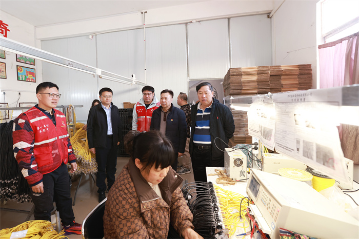 广西医科大学副校长陈俊强带队赴龙琴村开展乡村振兴调研暨帮扶慰问活动 第 1 张