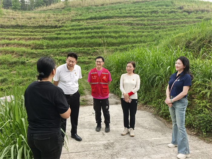 广西医科大学党委常委、副校长唐卫中带队赴龙琴村开展乡村振兴调研暨帮扶慰问活动 第 3 张