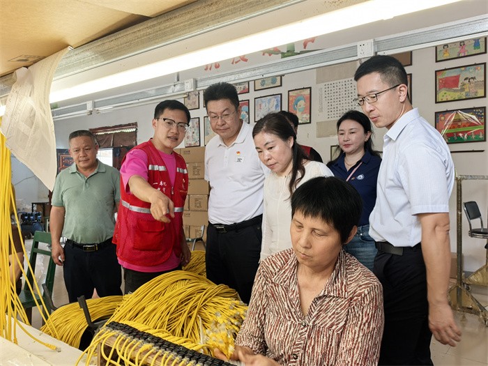 广西医科大学党委常委、副校长唐卫中带队赴龙琴村开展乡村振兴调研暨帮扶慰问活动 第 2 张